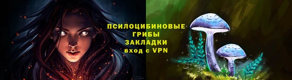 дживик Осташков