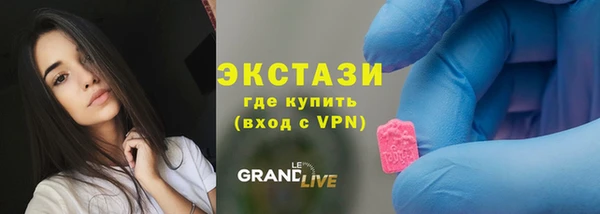 ECSTASY Пересвет