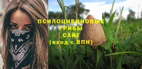 крисы Ладушкин