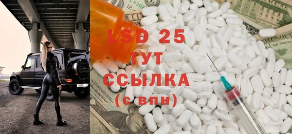 стаф Заводоуковск