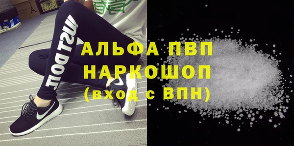 ECSTASY Пересвет