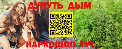 индика Апшеронск
