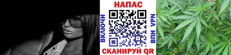 купить наркоту  Бор  Бошки Шишки гибрид 